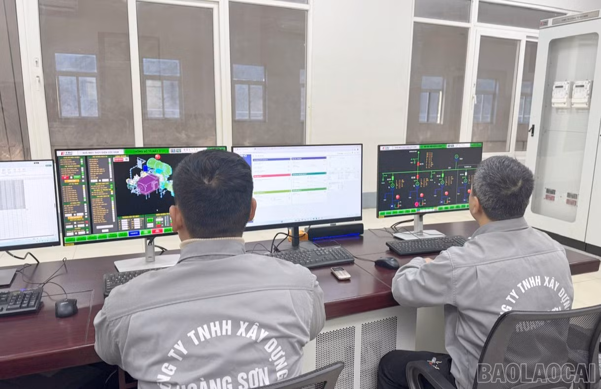 baolaocai-br_td1.jpg