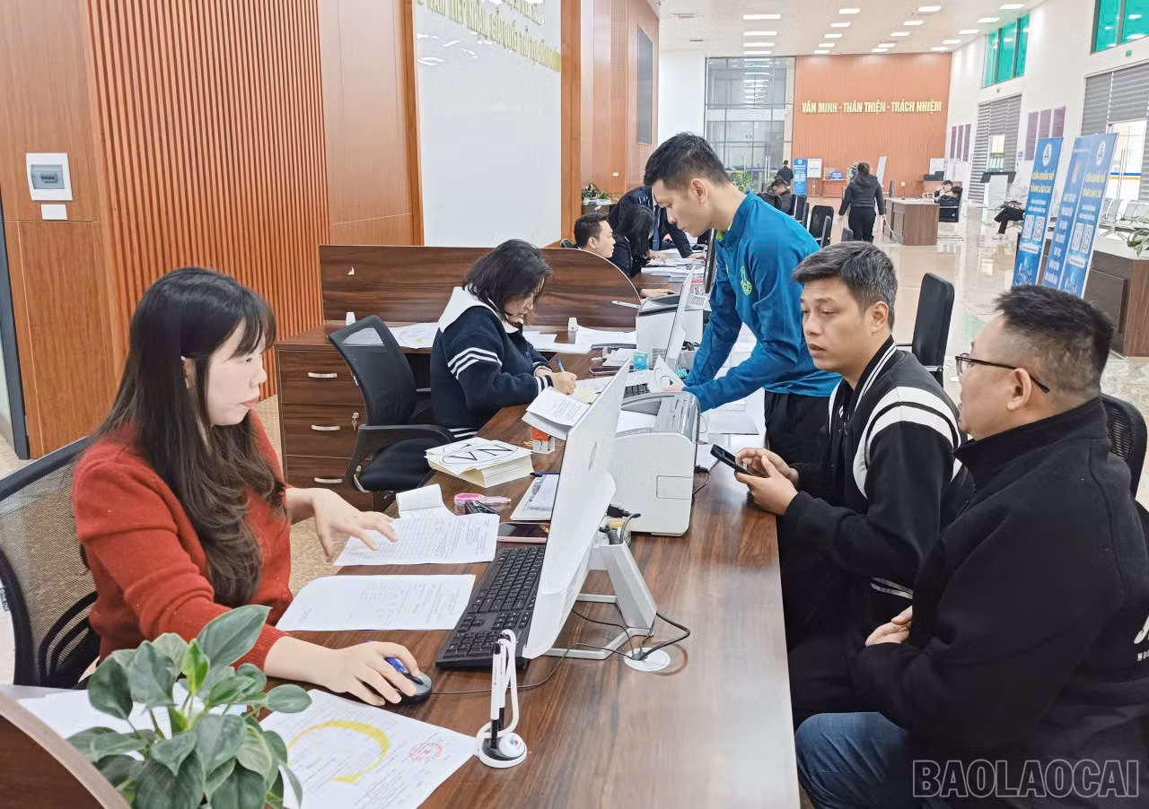 baolaocai-br_z7388164816286-a29f3b626b24daa04461339c84214d2e.jpg