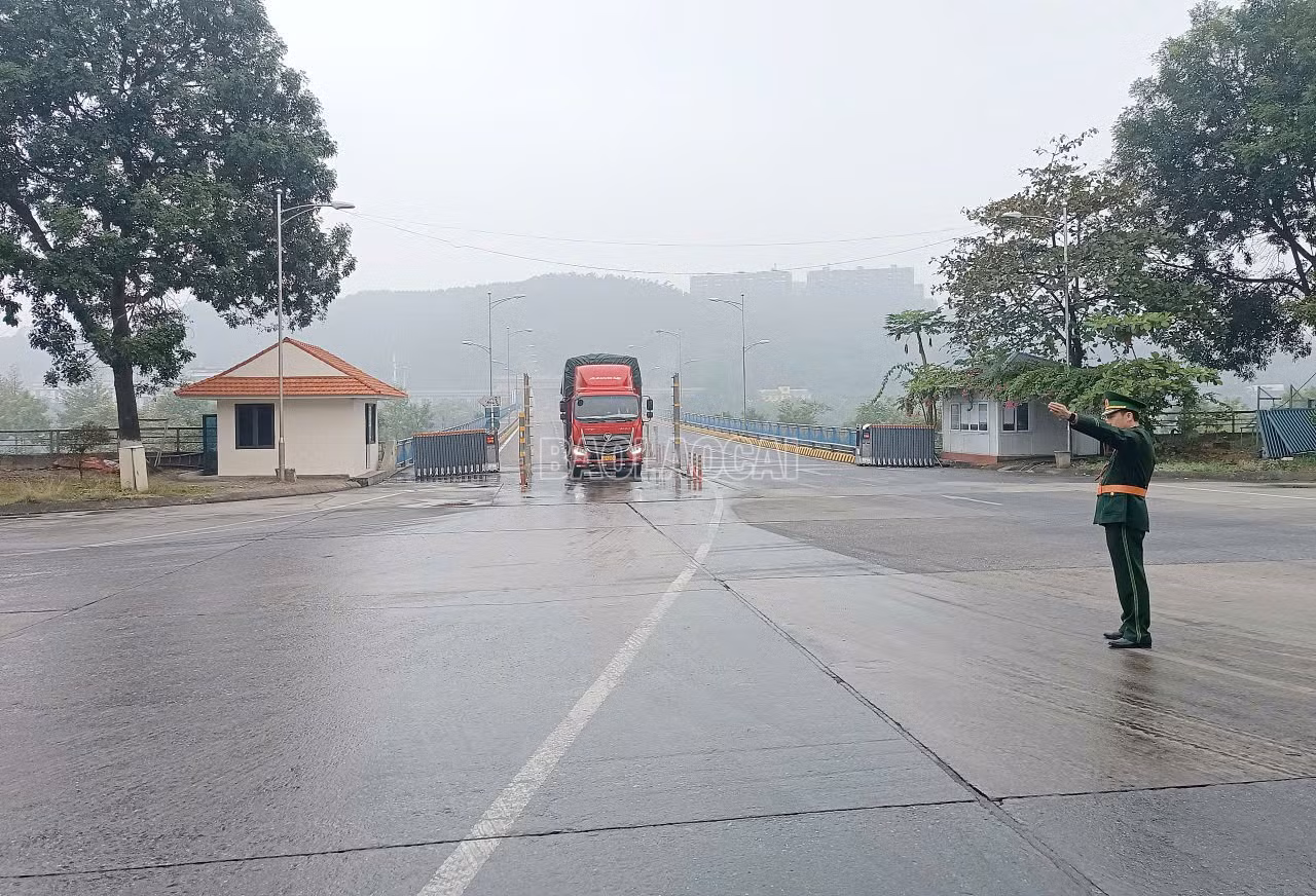 baolaocai-c_c7.jpg