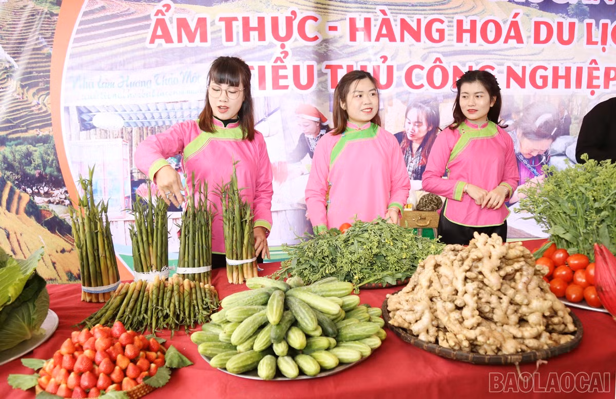 baolaocai-br_nd13.jpg