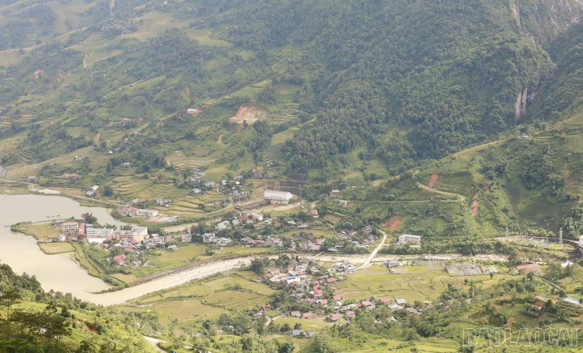 baolaocai-br_nd16.jpg