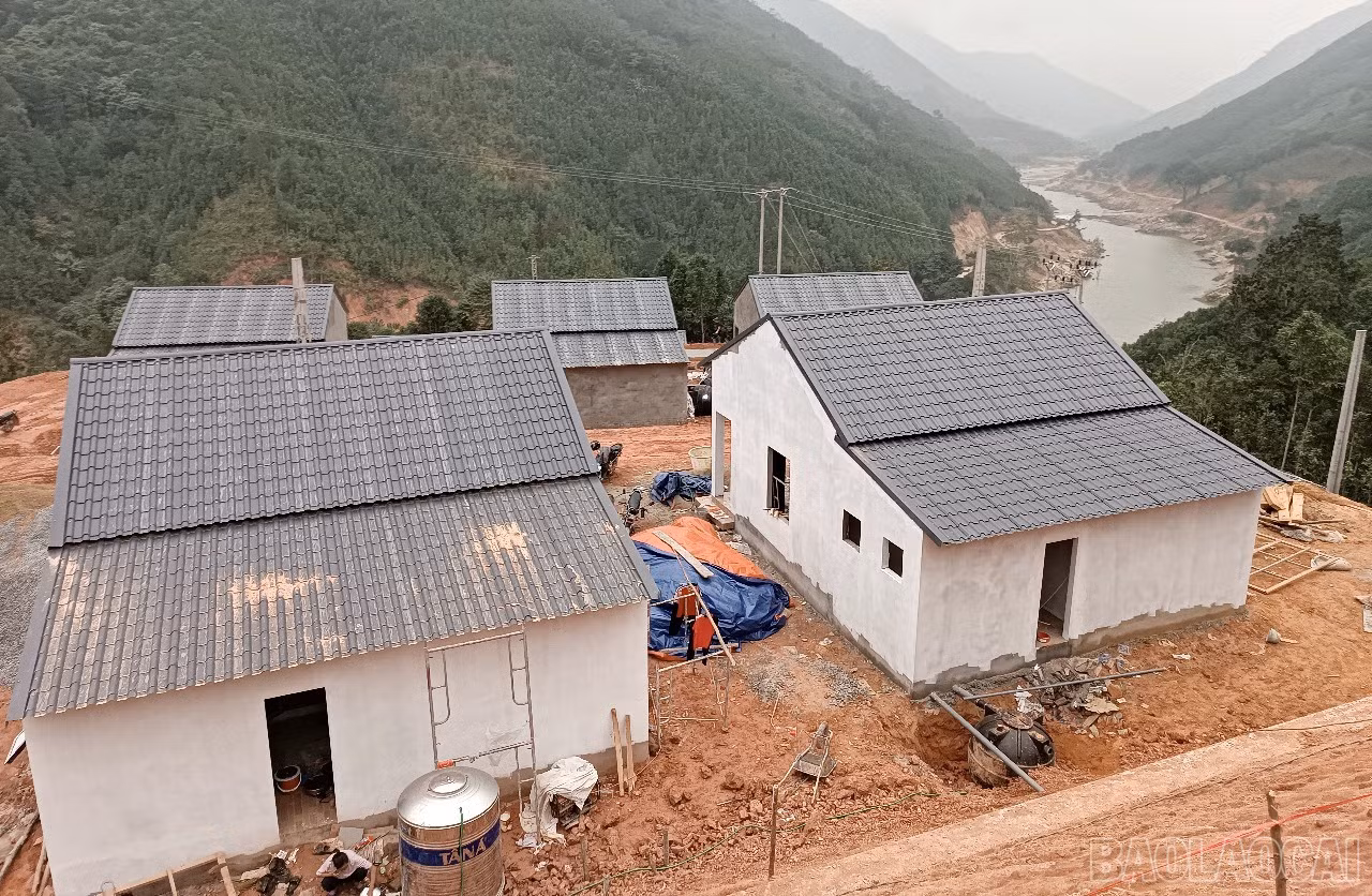 baolaocai-br_t28.jpg
