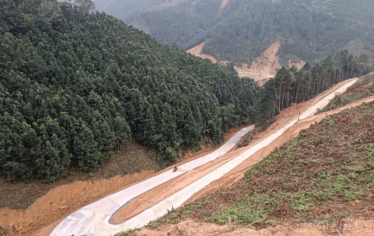 baolaocai-br_t26.jpg