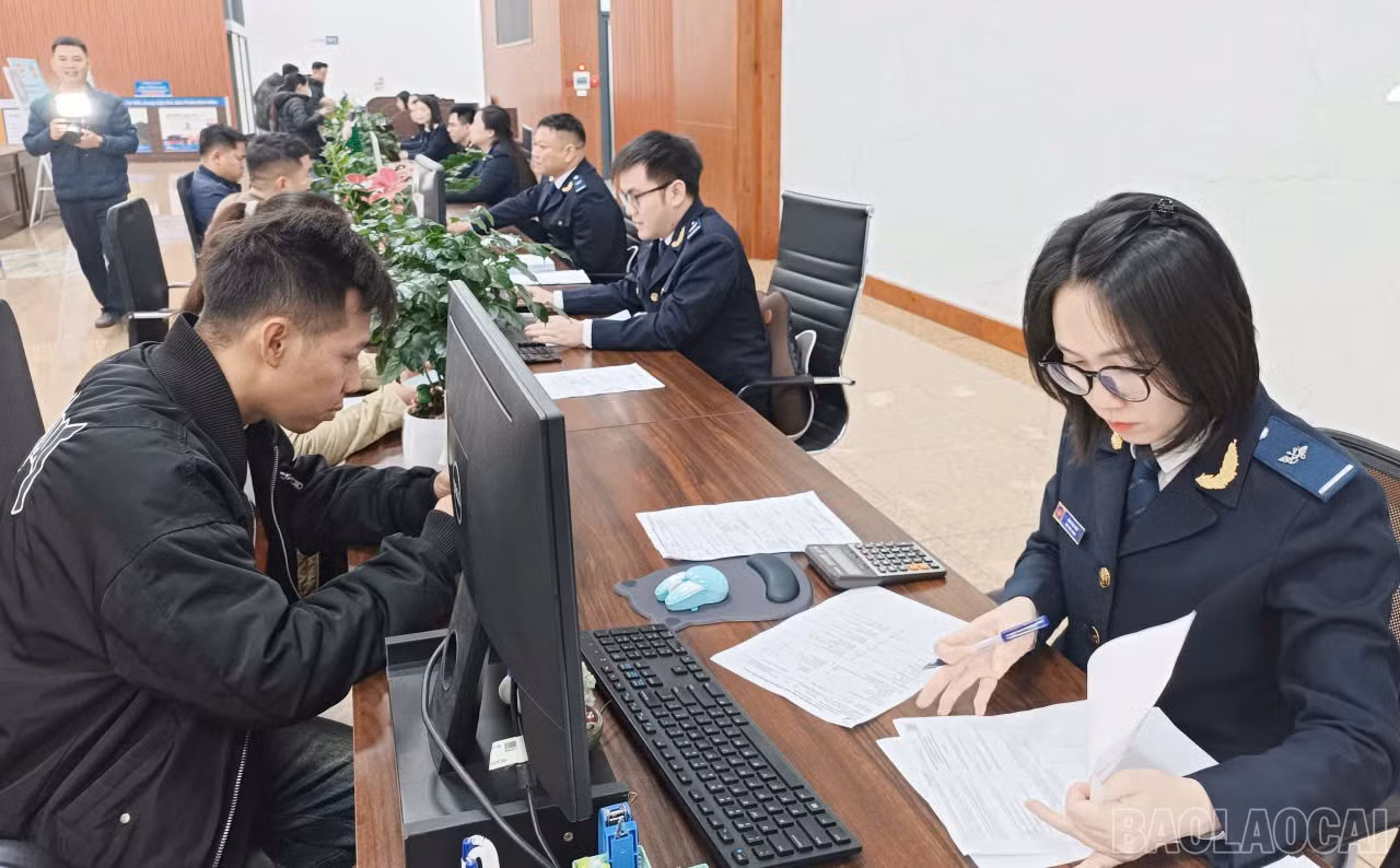 baolaocai-br_hq1.jpg