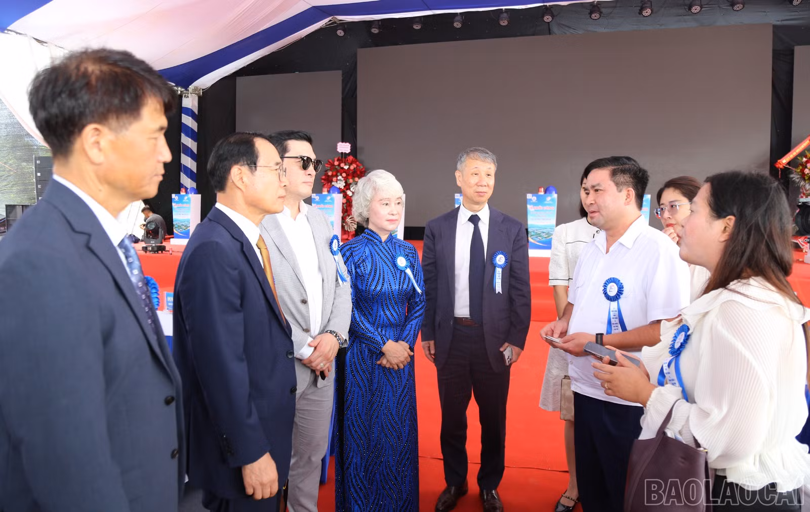 baolaocai-br_a1.jpg