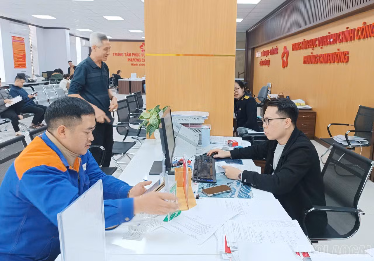 baolaocai-br_z7406054236769-c305e287bae55cde09a7f81dcbb7cde7.jpg
