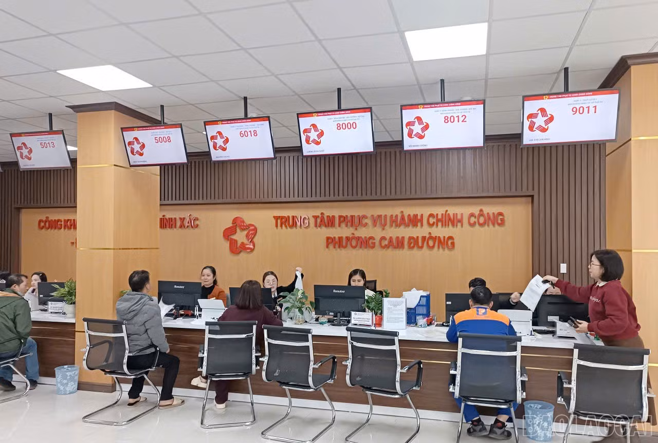 baolaocai-br_z7406054229285-7280d760d8a68043c2780859af75cd4e.jpg