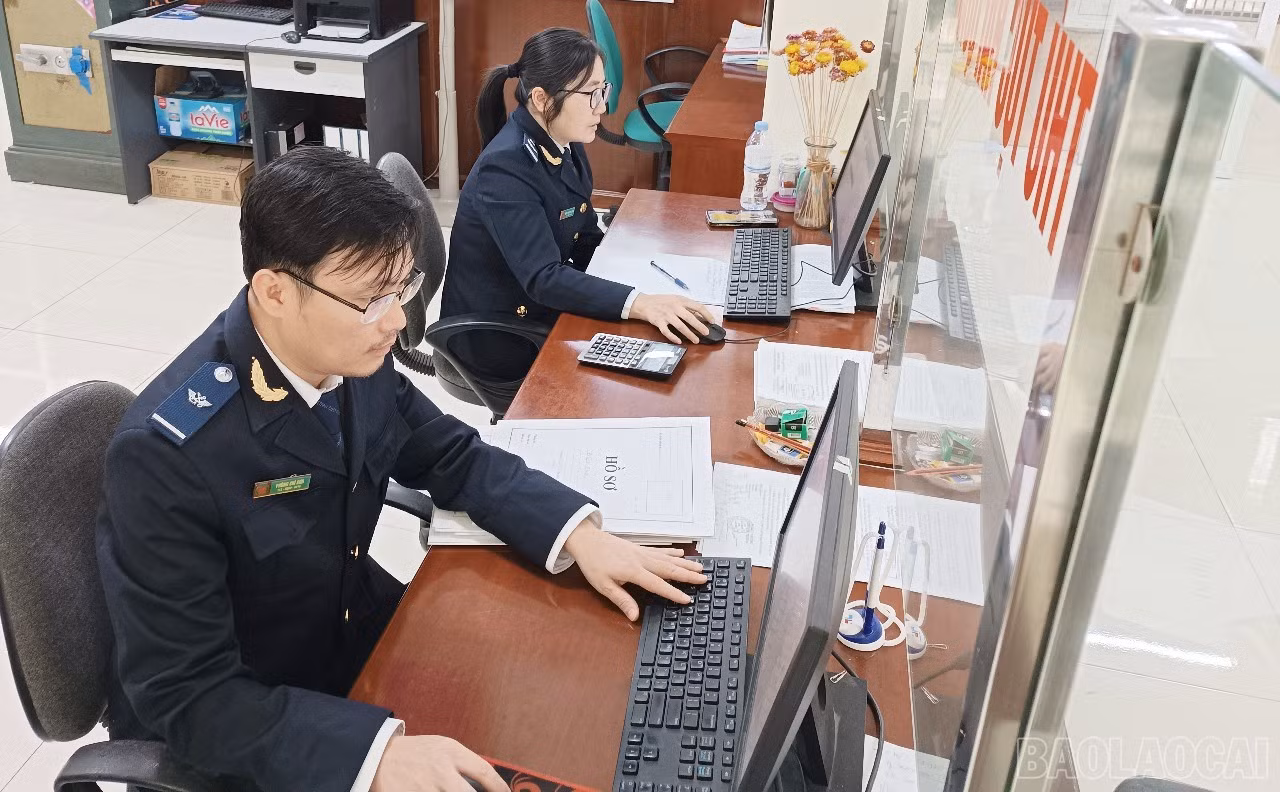 baolaocai-br_cn1.jpg
