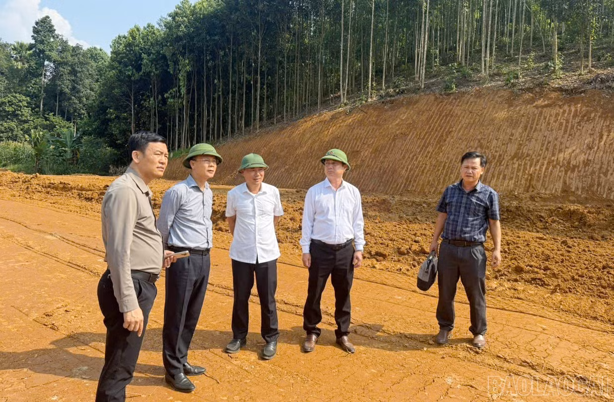baolaocai-br_s99.jpg