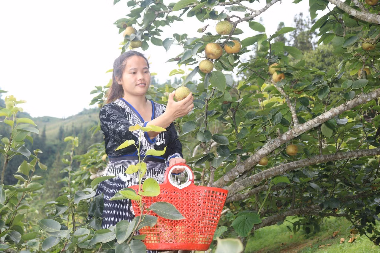 q6.jpg