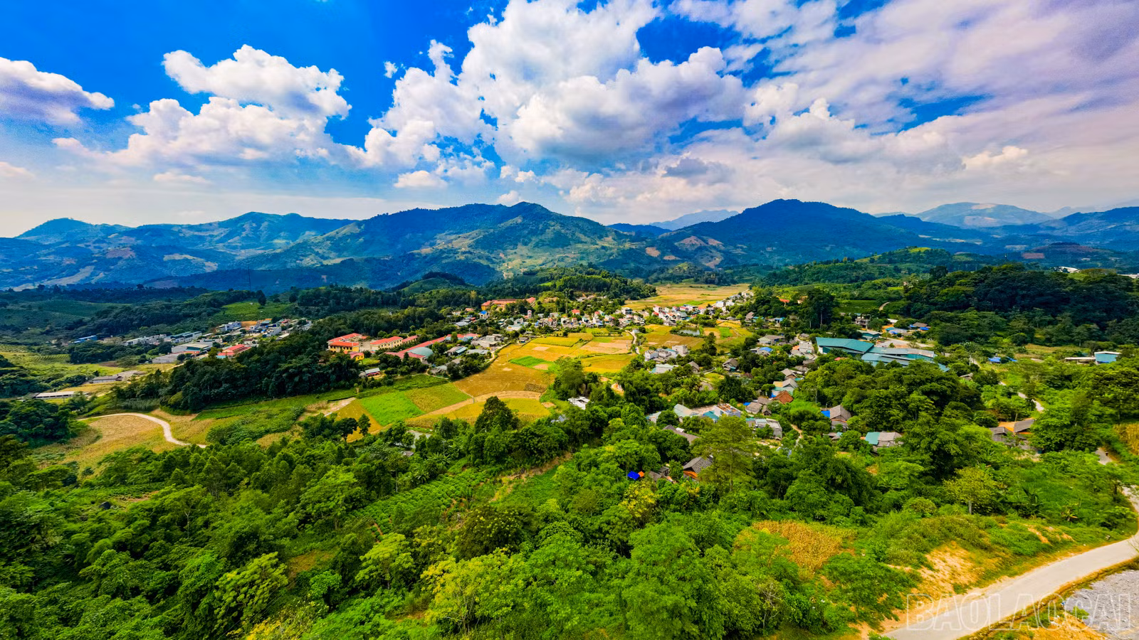 baolaocai-br_dji-0780.jpg