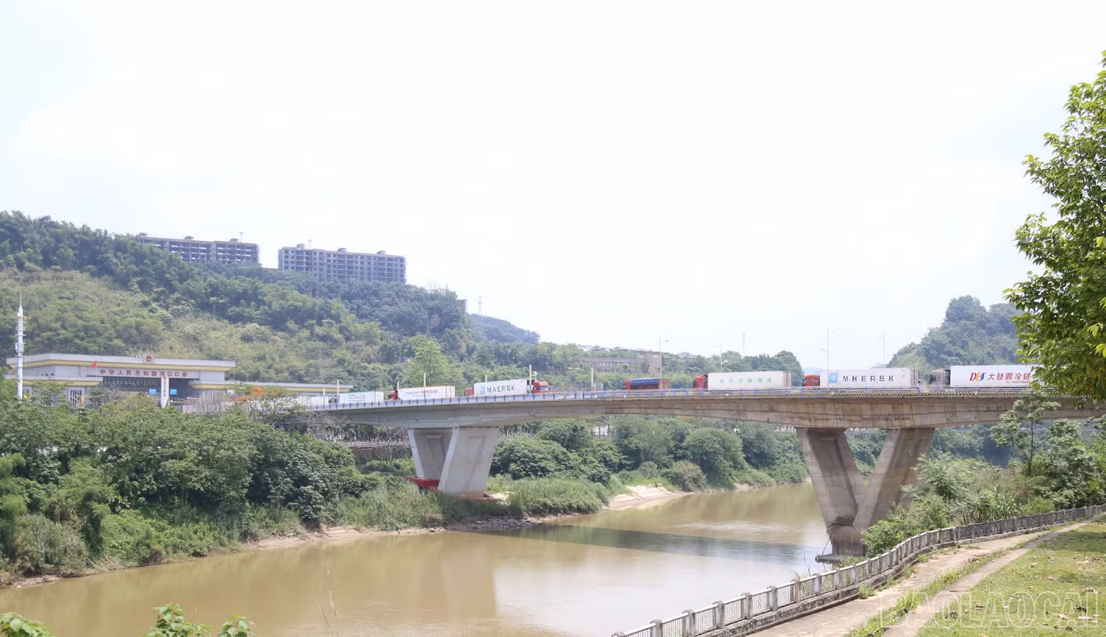 baolaocai-br_a3.jpg