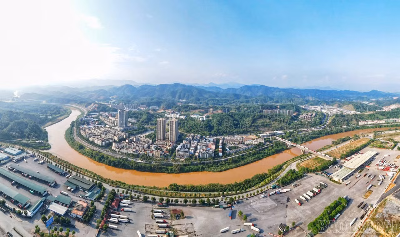 baolaocai-br_a1.jpg