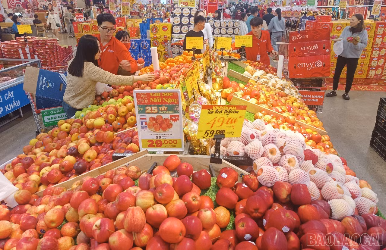 baolaocai-br_h5.jpg