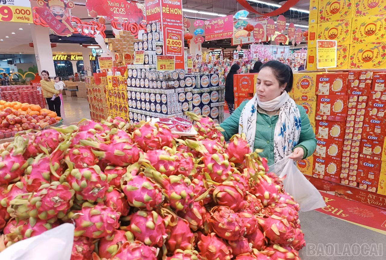 baolaocai-br_h1.jpg