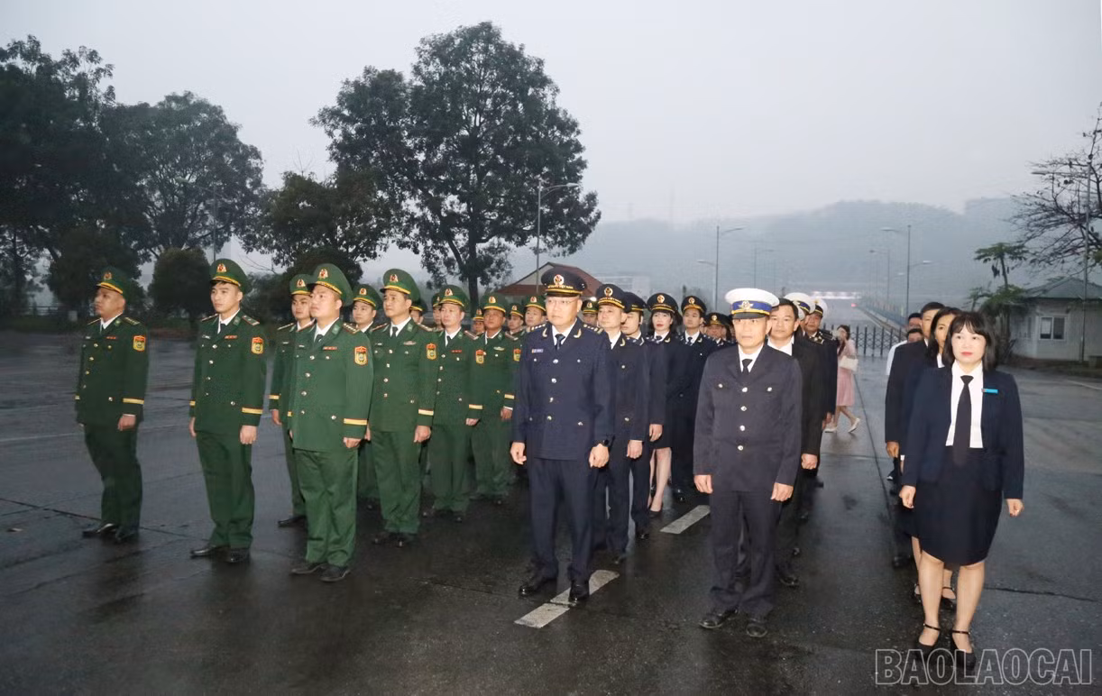 baolaocai-br_x5.jpg
