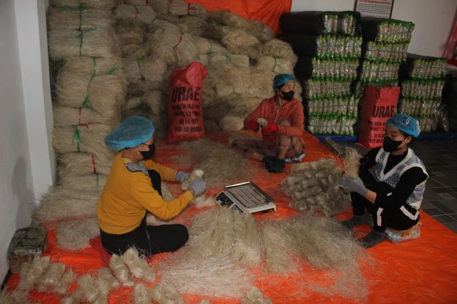 Sản phẩm miến đao Quy Mông đạt OCOP 4 sao.