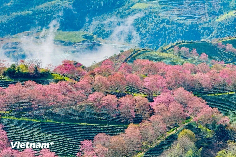 vnp-sapa-16.jpg