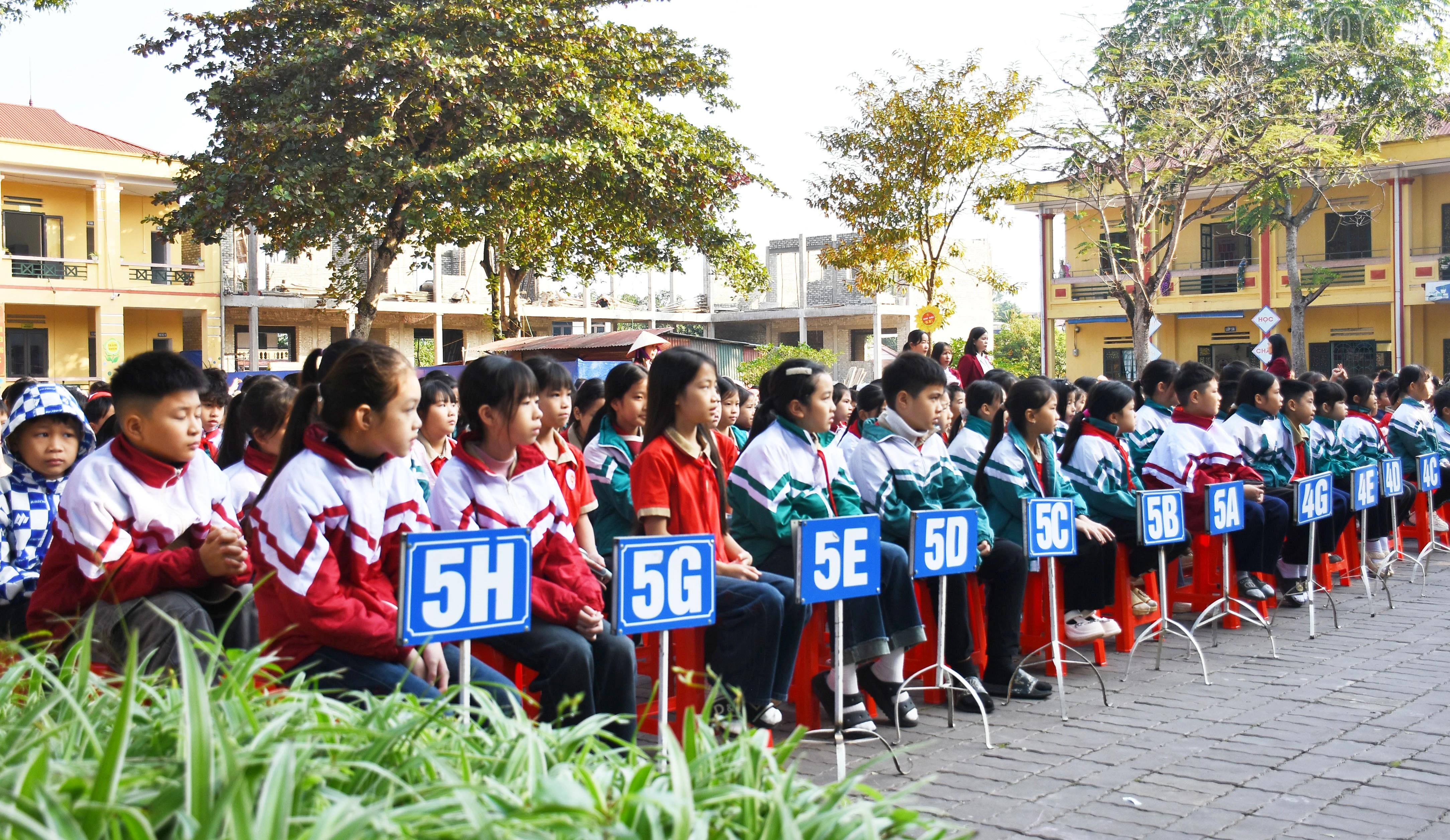 baolaocai-tr_dsc-0447-1.jpg