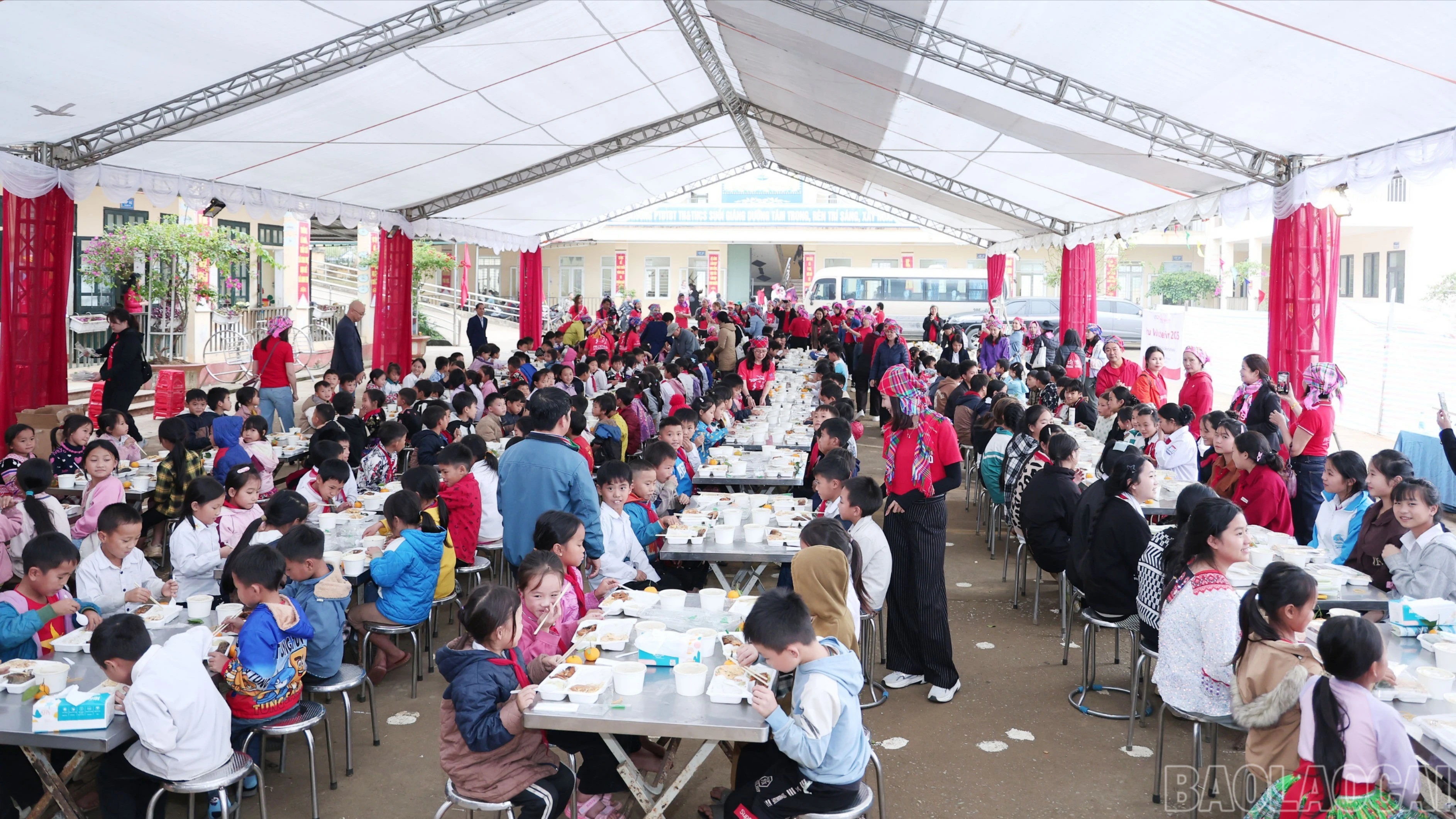 baolaocai-br_img-9911.jpg
