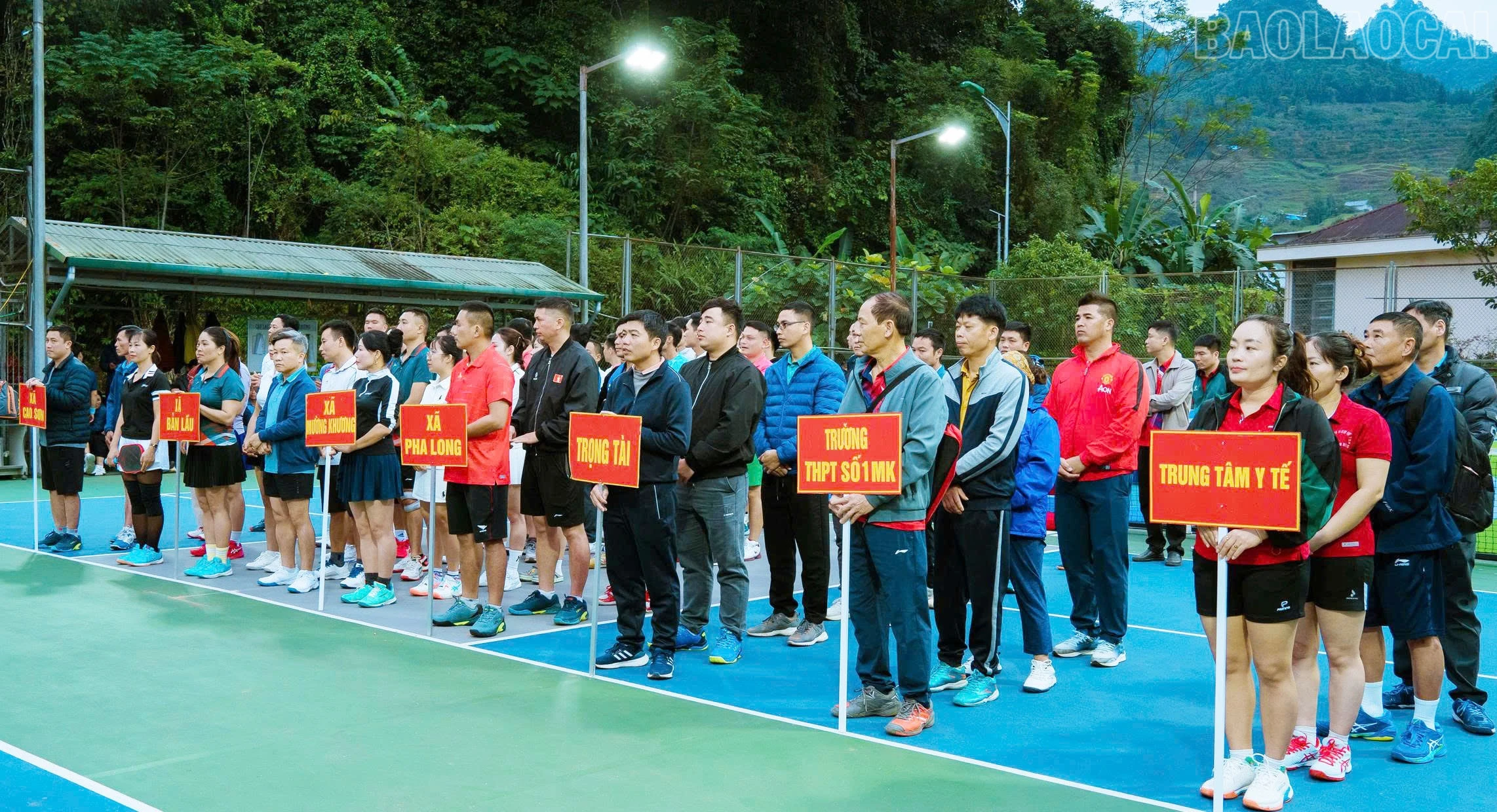 baolaocai-tr_a2.jpg