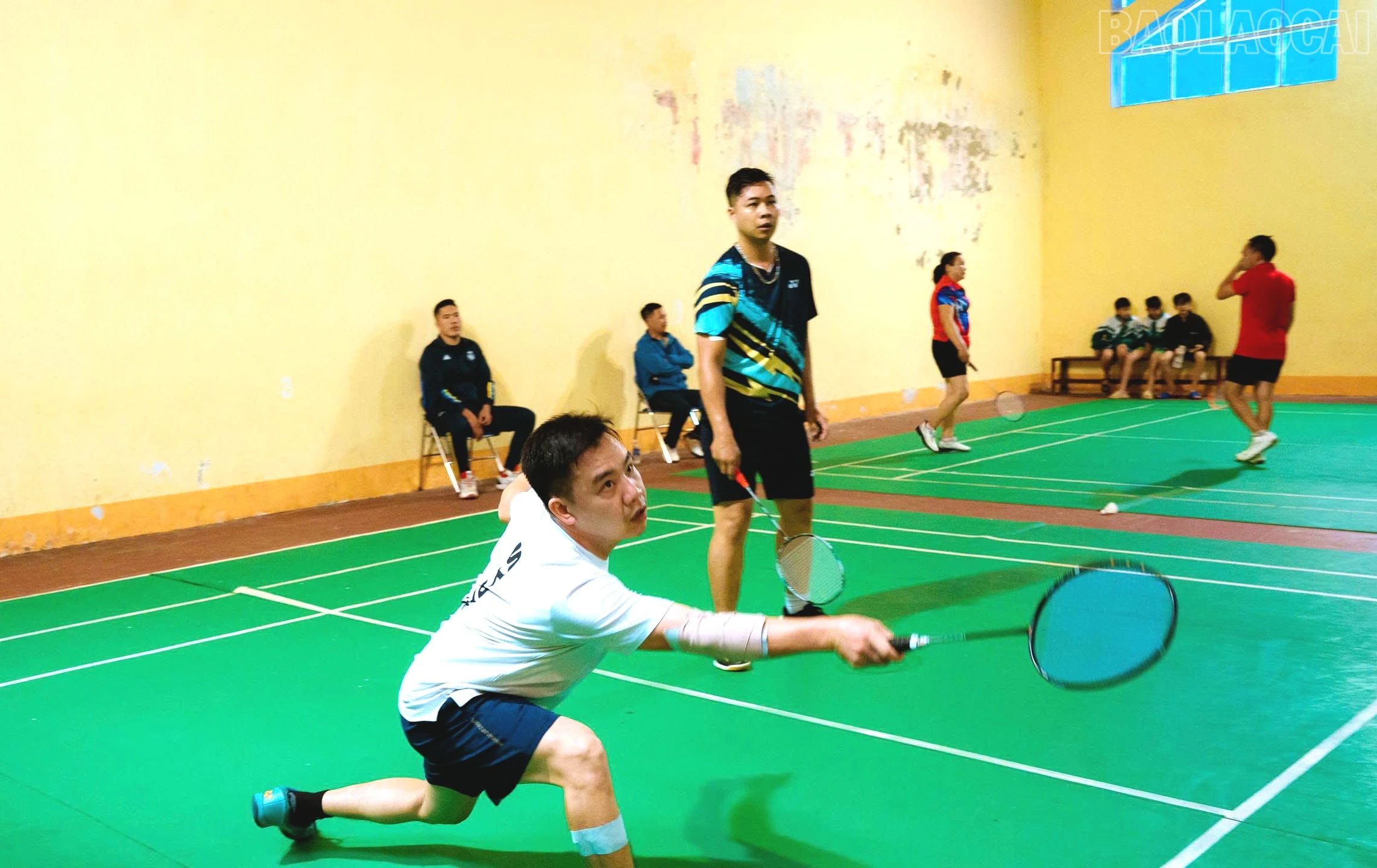 baolaocai-tr_a5-1.jpg