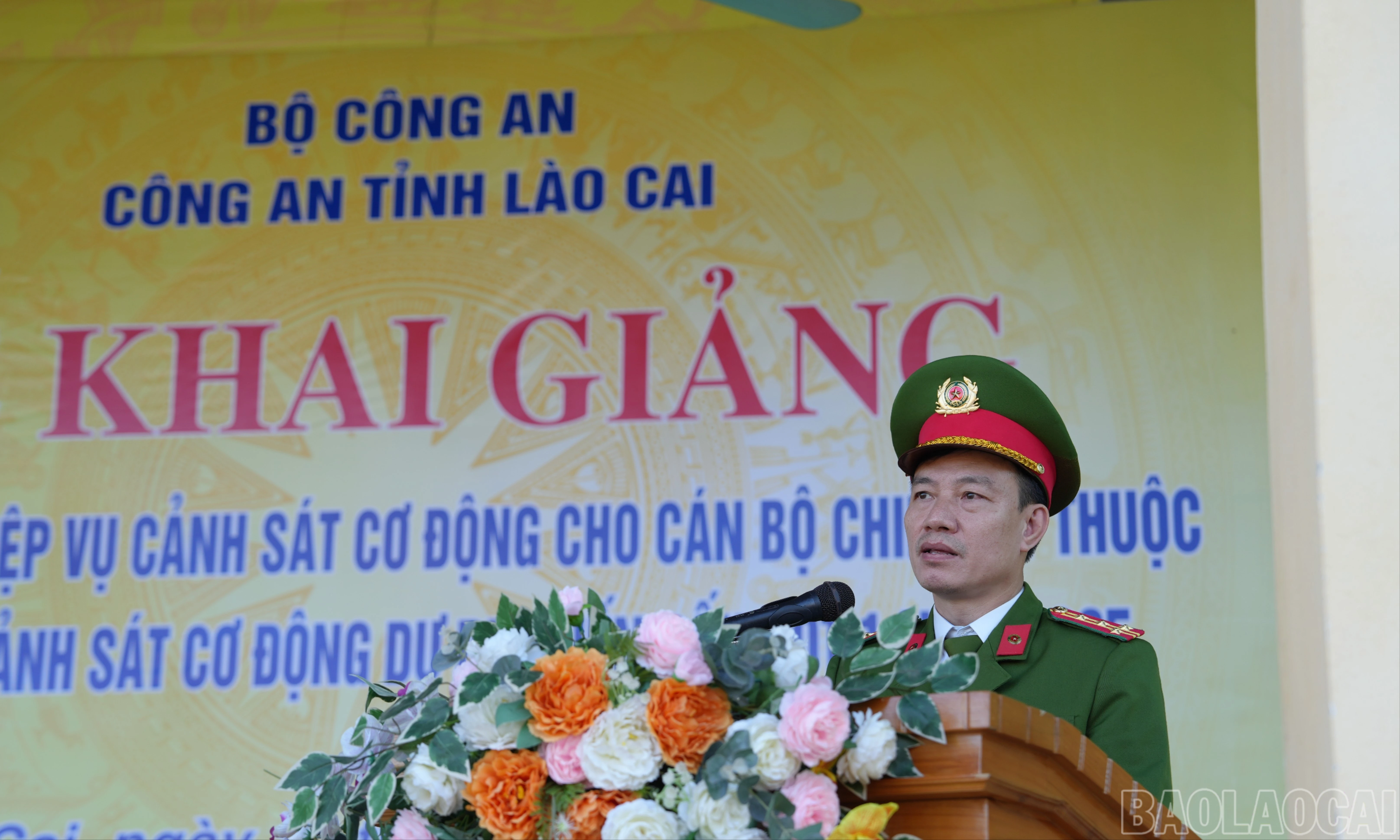 baolaocai-br_anh-1-2205.jpg