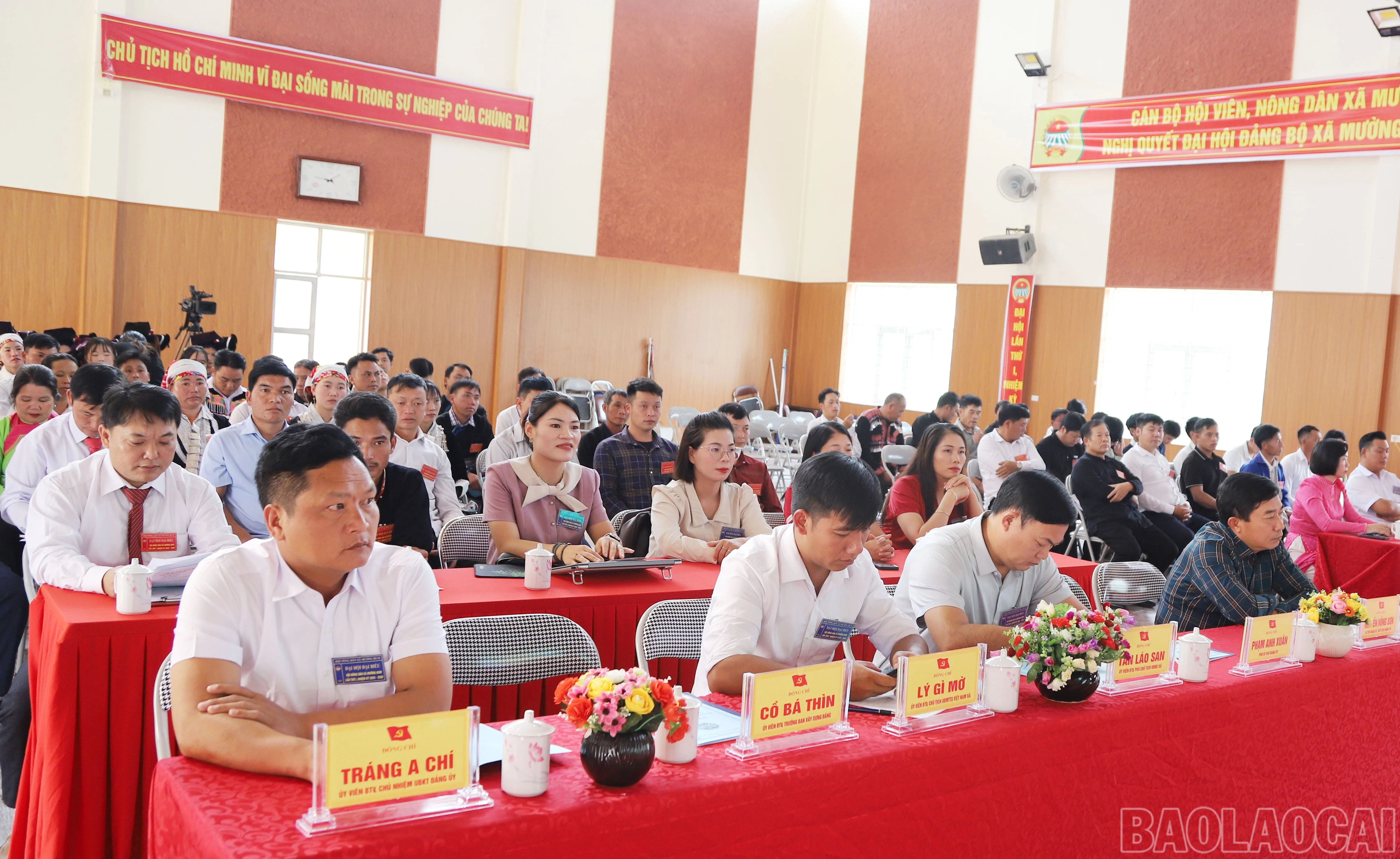 baolaocai-br_3.jpg