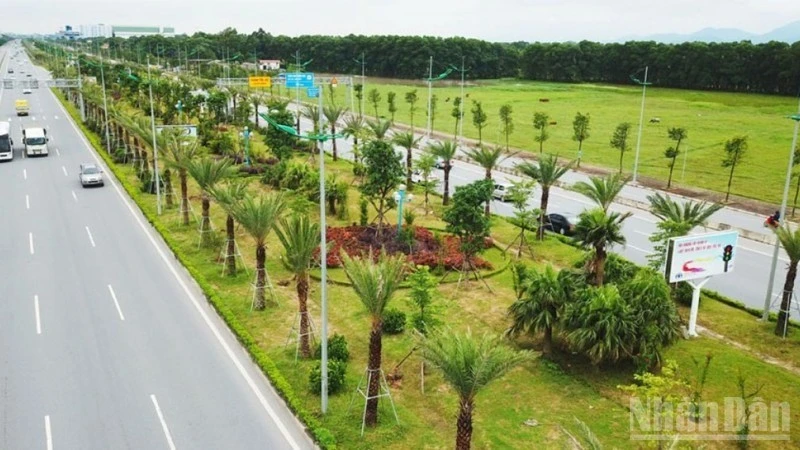 cay-xanh.jpg