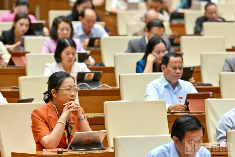 Các đại biểu Quốc hội dự phiên họp.