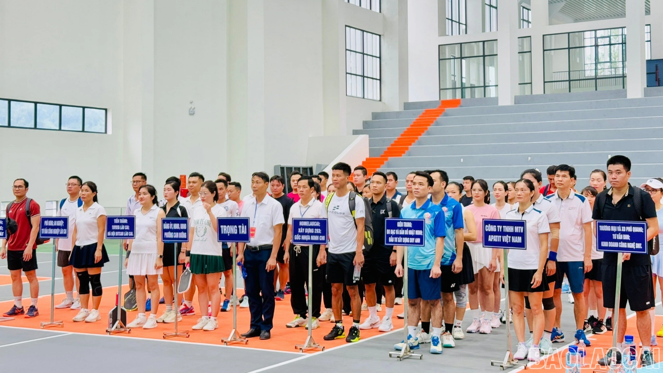 baolaocai-br-z7081169289457-183602f2ee98364d47c212371c39c71d.jpg