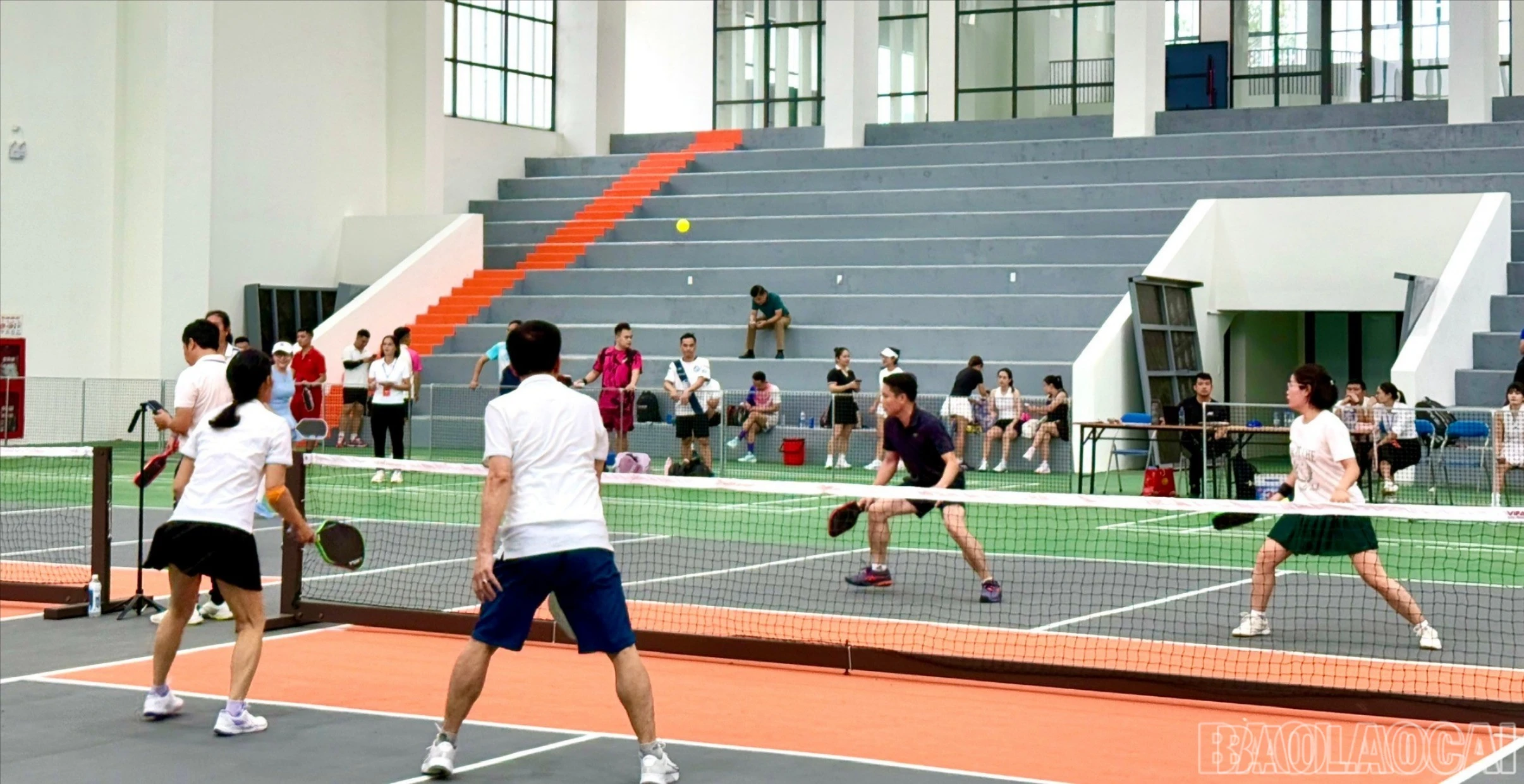 baolaocai-br-z7081178786360-a5f76d5691f2c6726aca623d343317f5.jpg