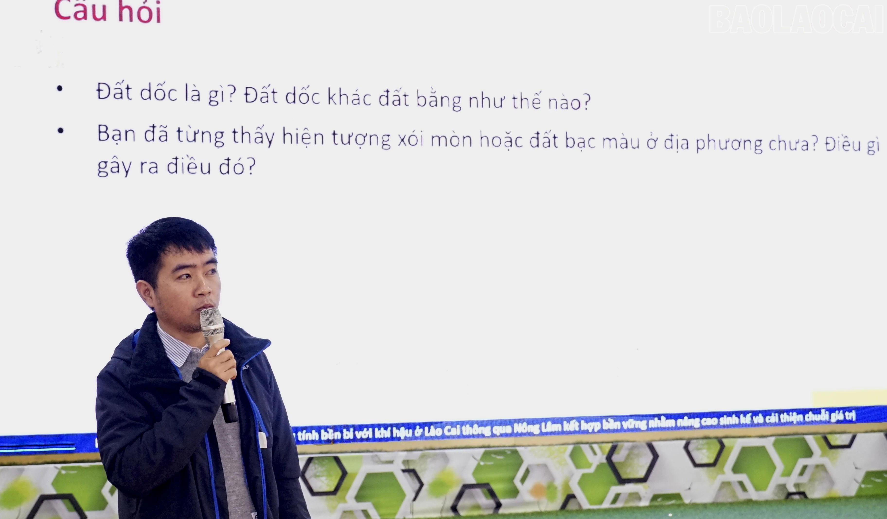 baolaocai-tr_dsc4467.jpg