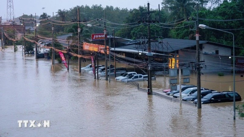 thai-lan-lu-lut-2700.jpg