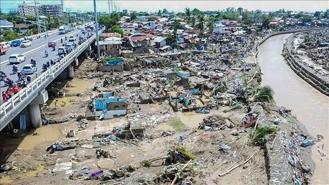Khu vực bị bão Kalmaegi tàn phá tại tỉnh Cebu, Philippines.