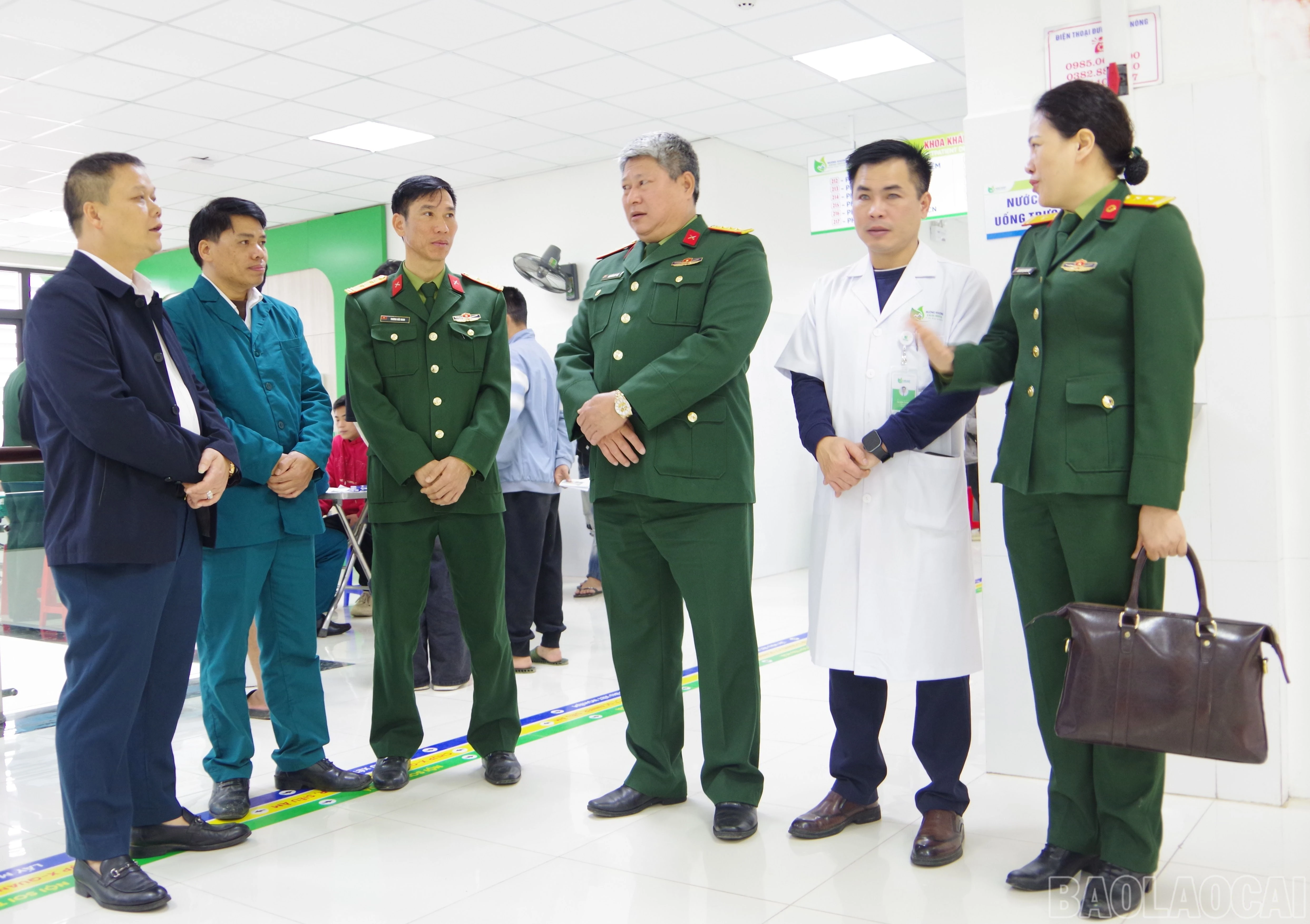 baolaocai-br_a1-3.jpg