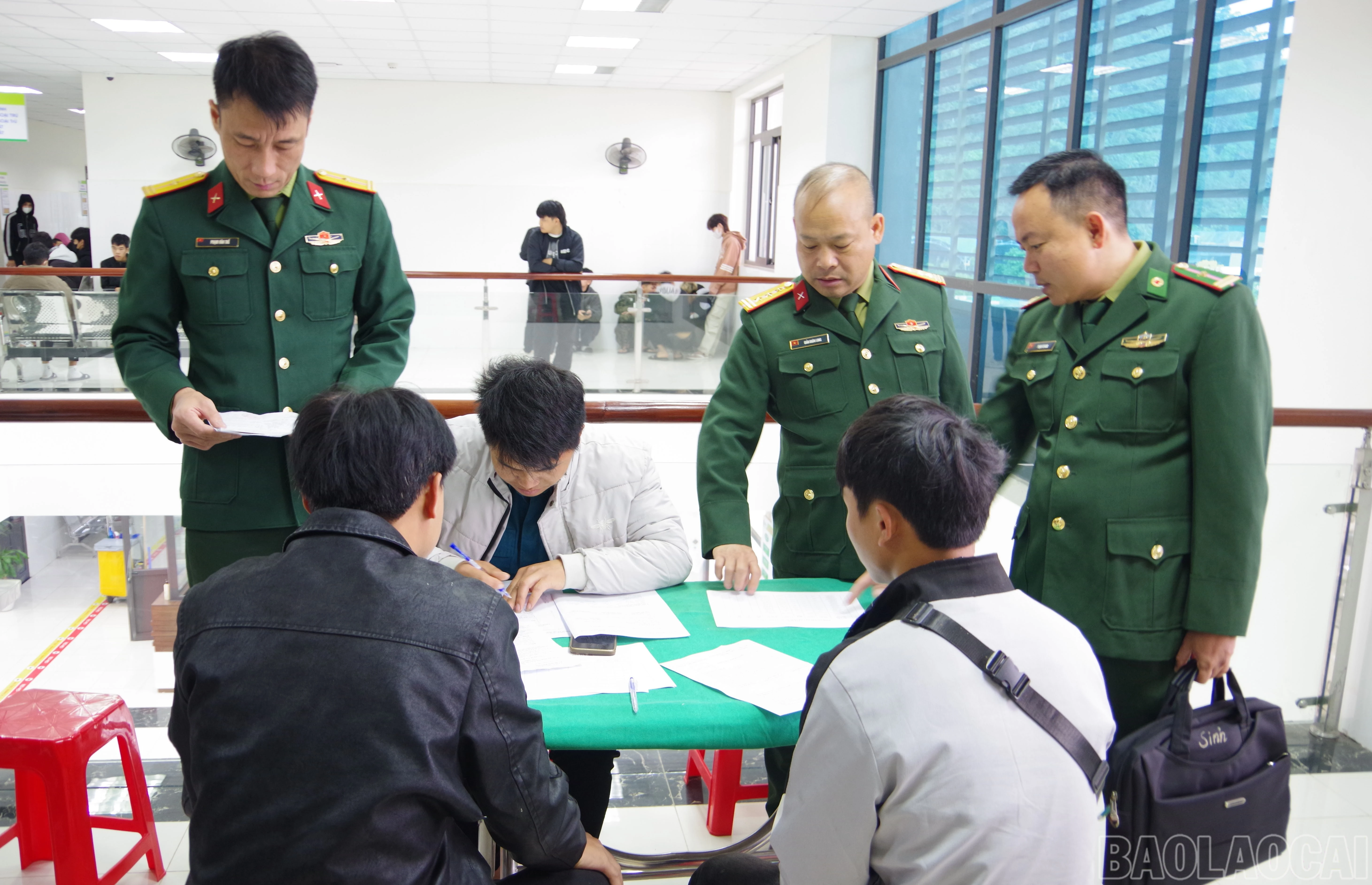 baolaocai-br_a2-19.jpg