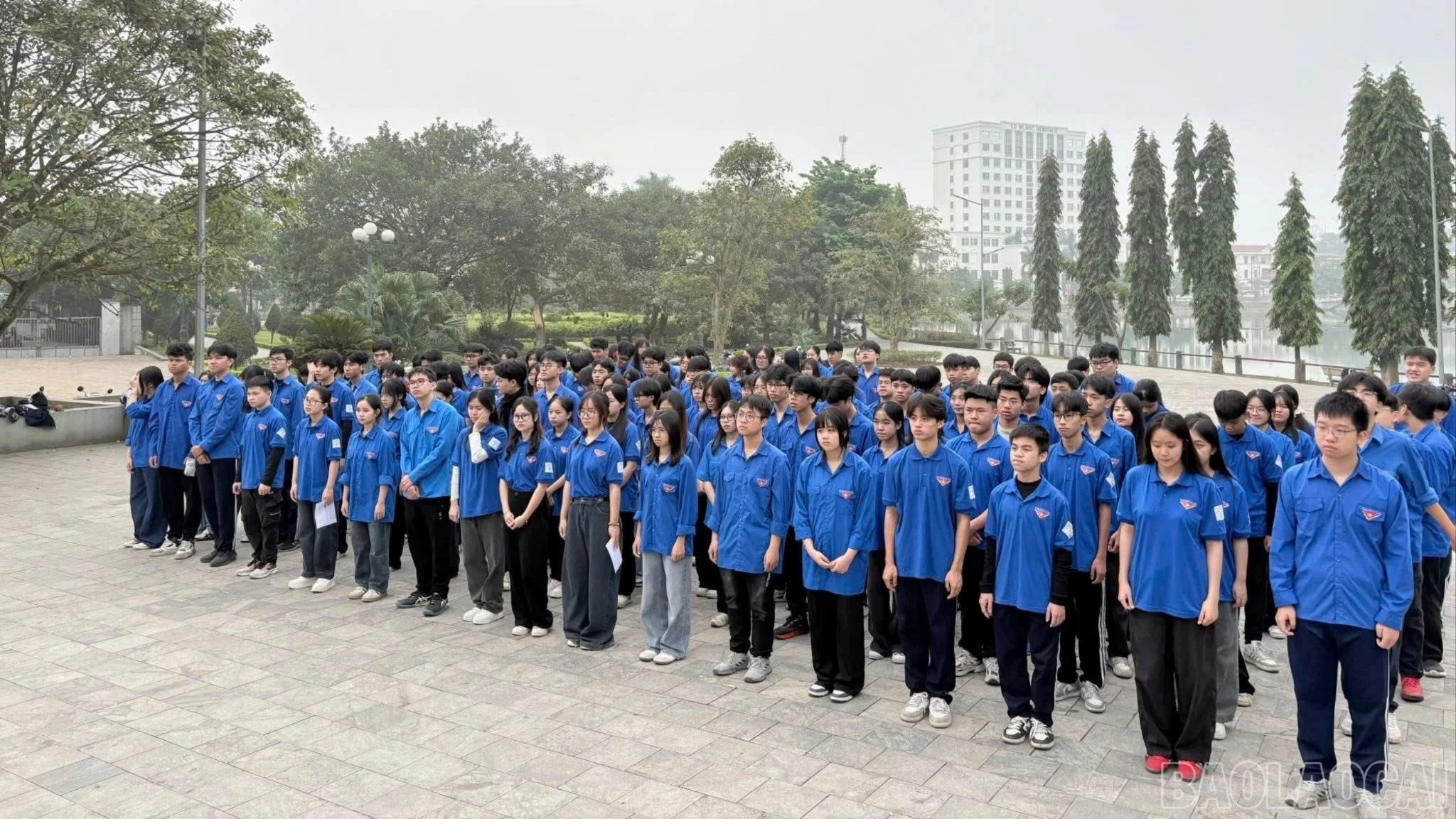 baolaocai-br_tl-z7351897516390-ecdb2a5cb0a61237b2645fe24fd897ee.jpg