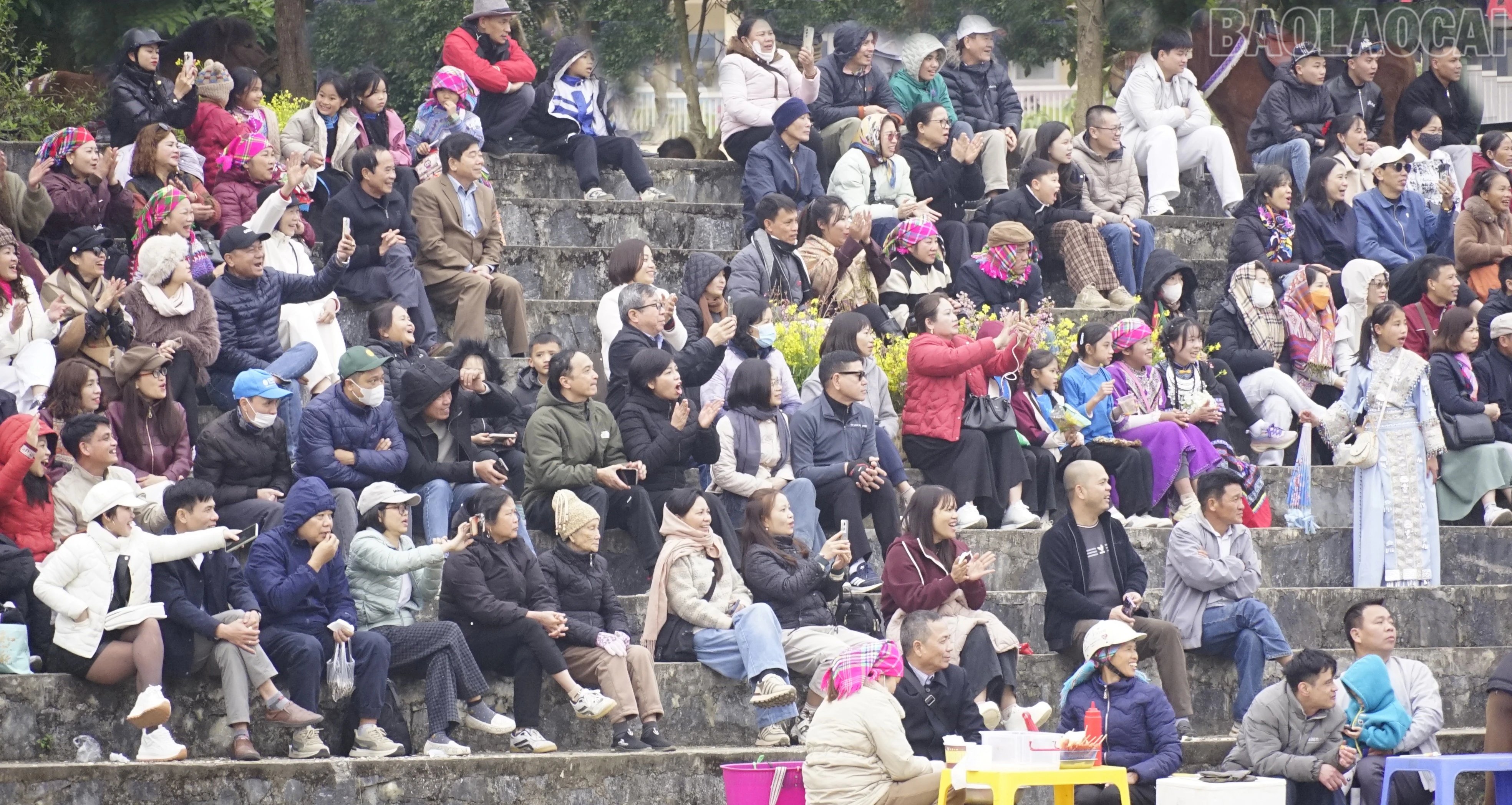 baolaocai-tr_dsc5708.jpg