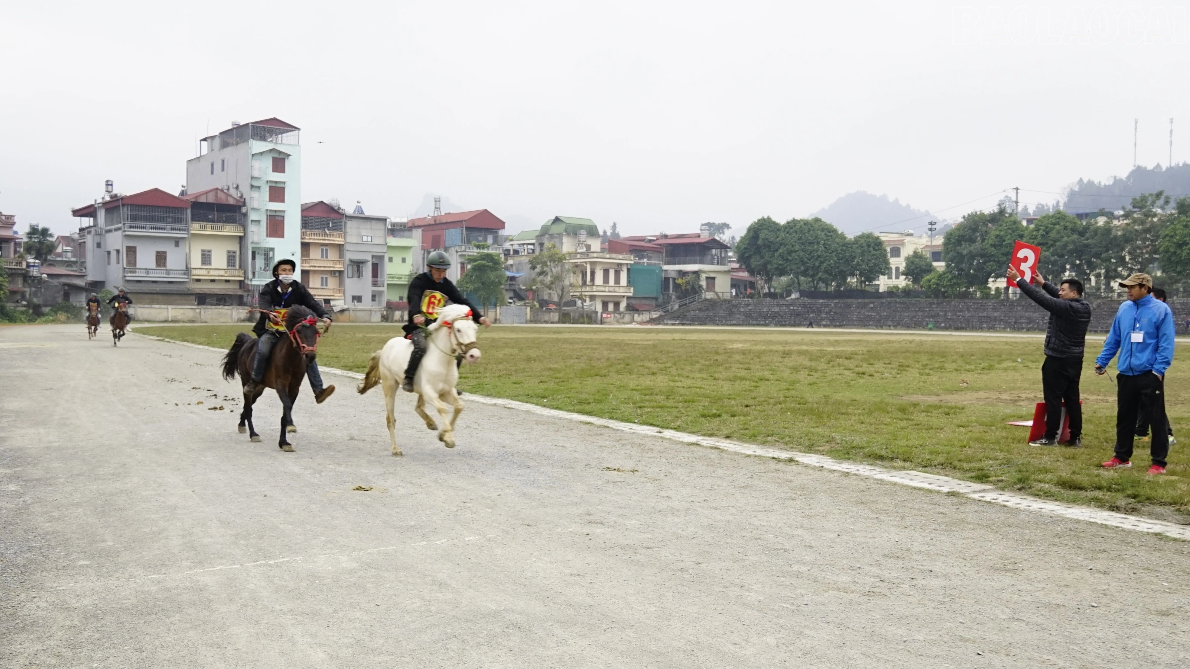 baolaocai-tr_dsc5716.jpg