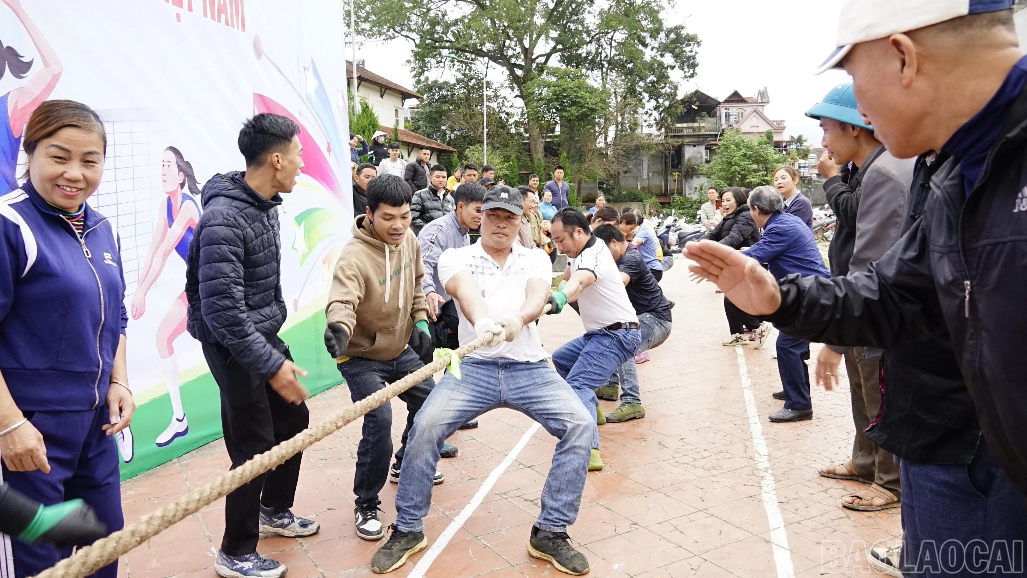 baolaocai-br_dsc4658.jpg