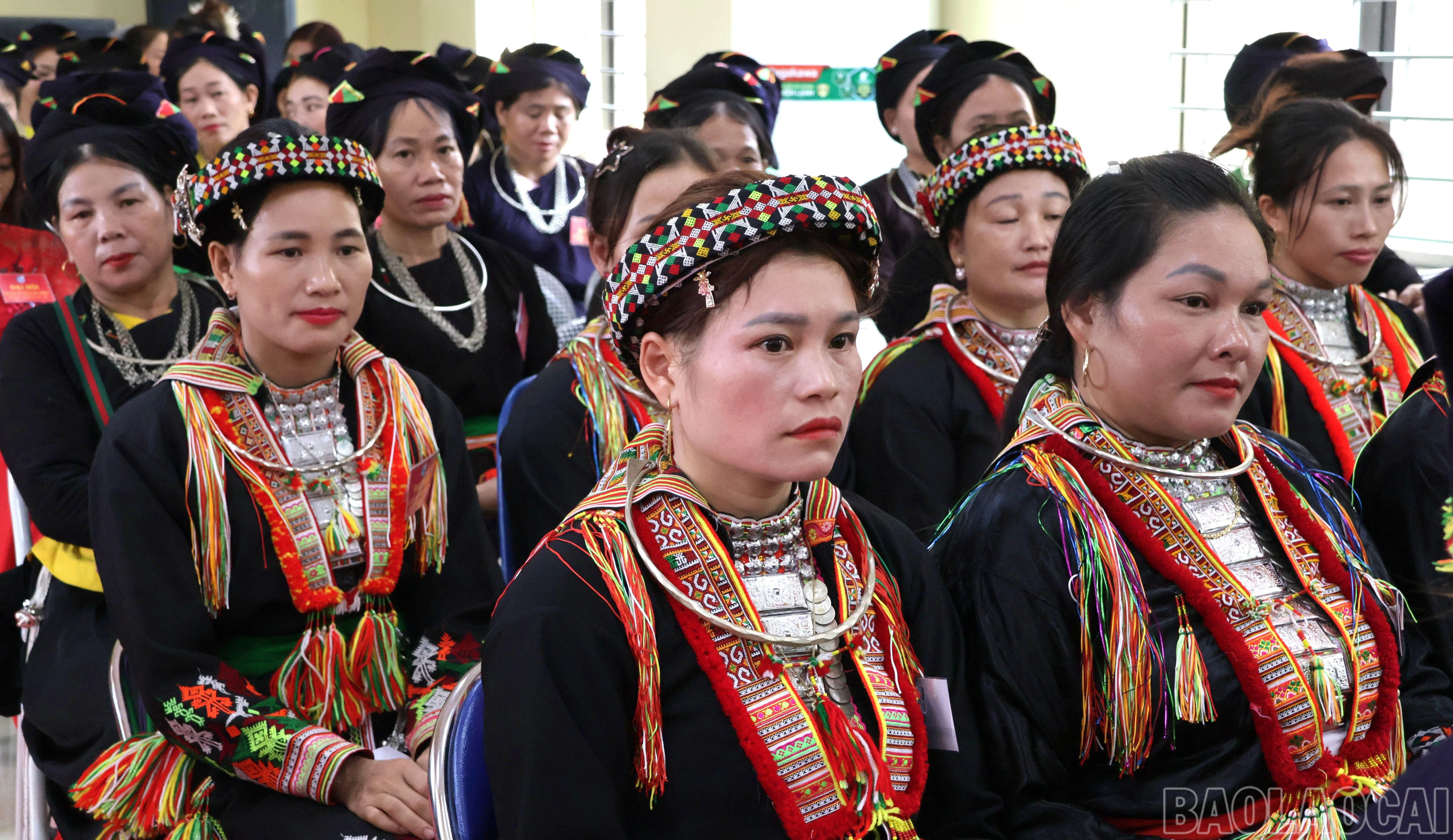 baolaocai-br_dai-bieu-tham-du.jpg