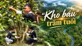 "Kho báu" trăm tuổi