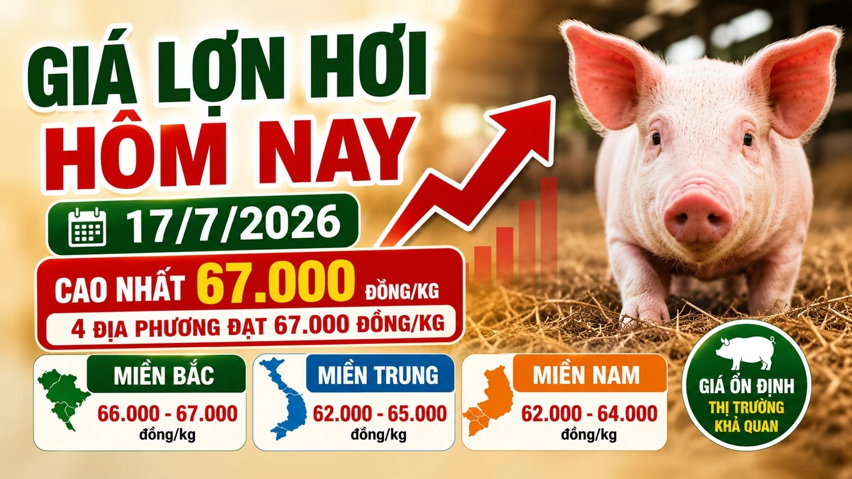 gia-heo-hoi-hom-nay-17-7-2026.jpg