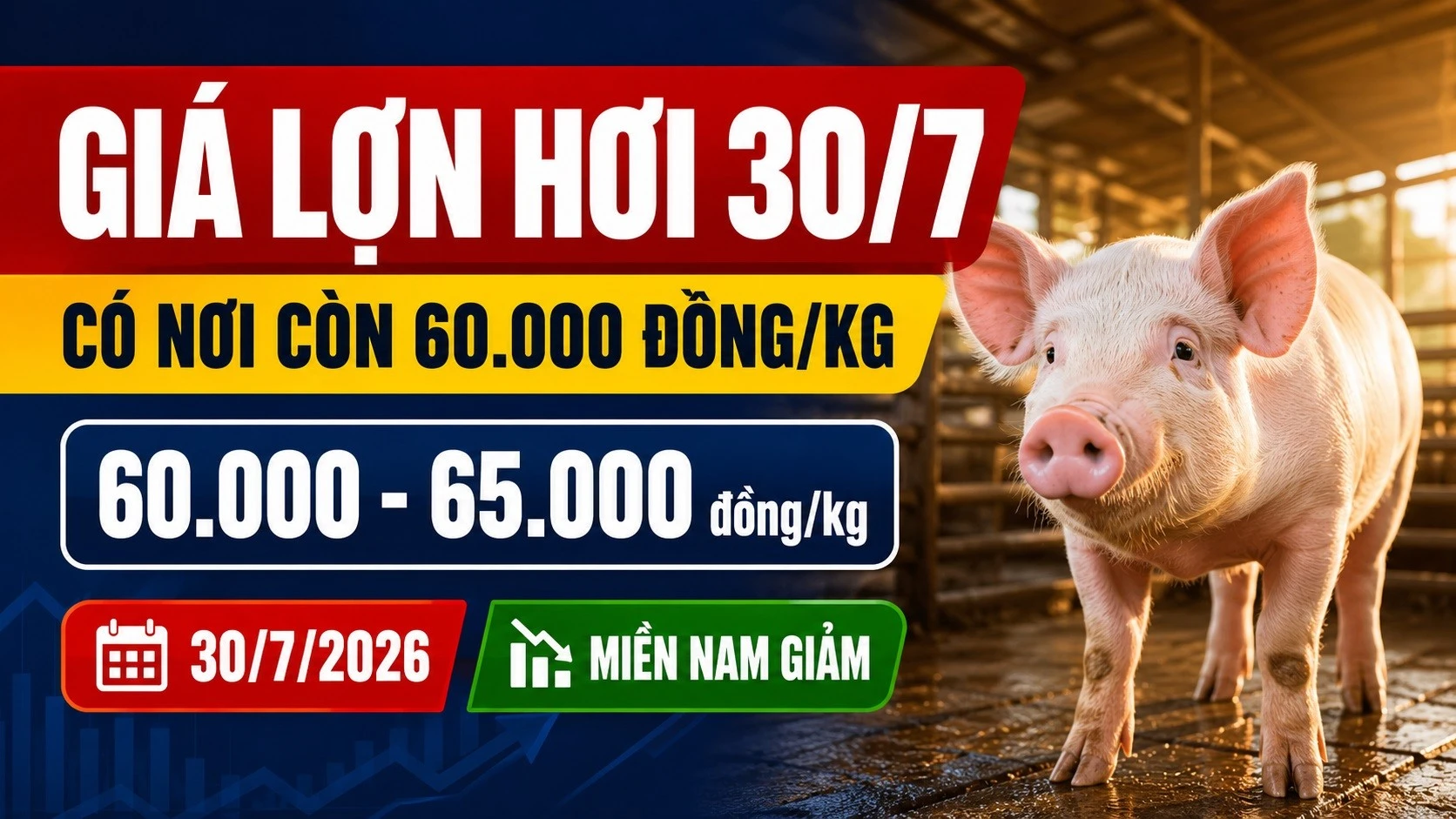 gia-heo-hoi-hom-nay-30-7-2026.jpg