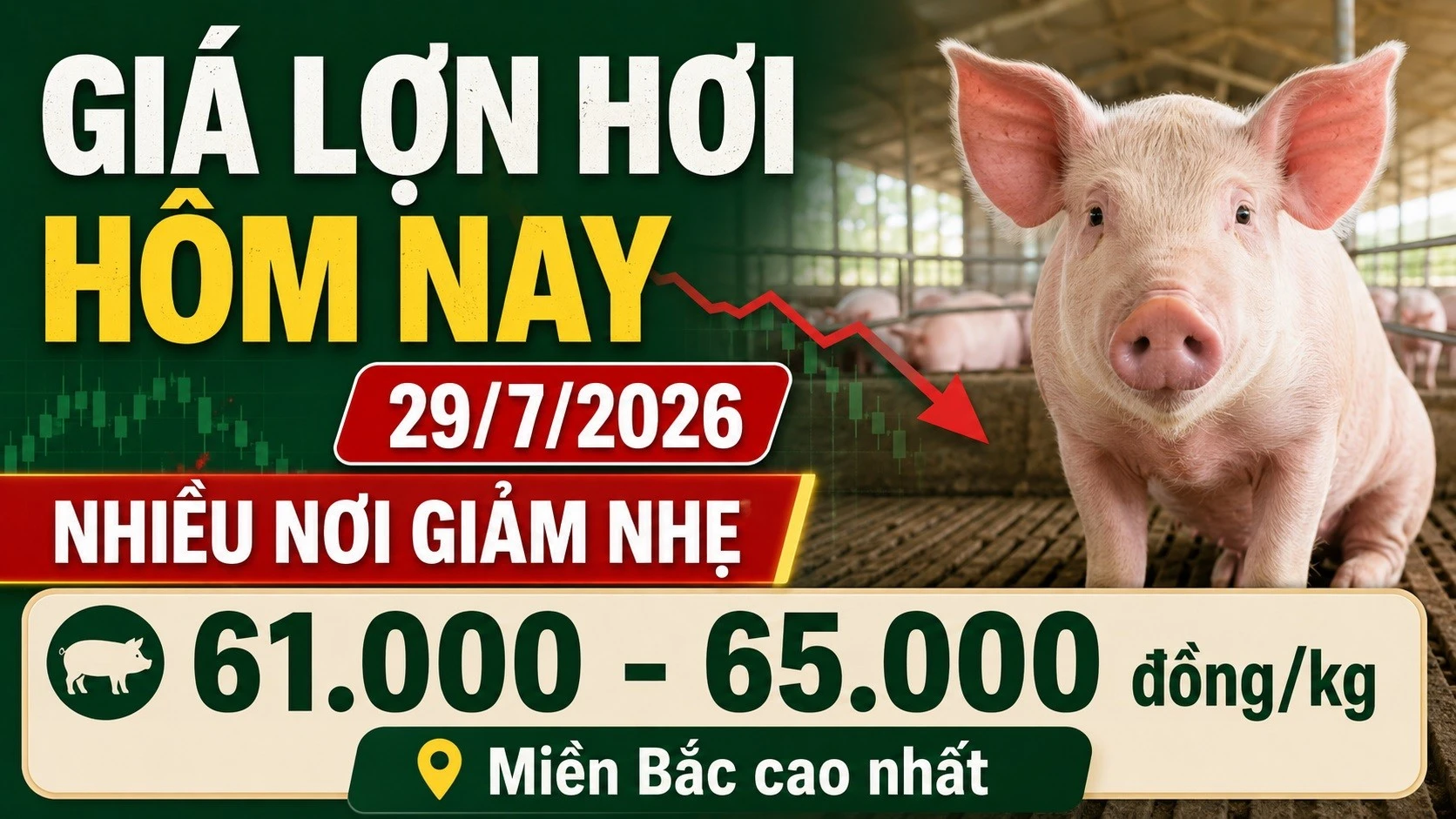 gia-lon-hoi-hom-nay-29-7-2026.jpg