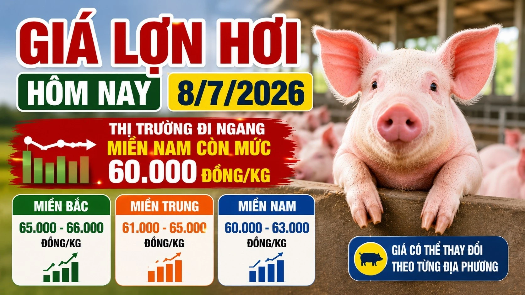 gia-lon-hoi-hom-nay-8-7-2026.jpg