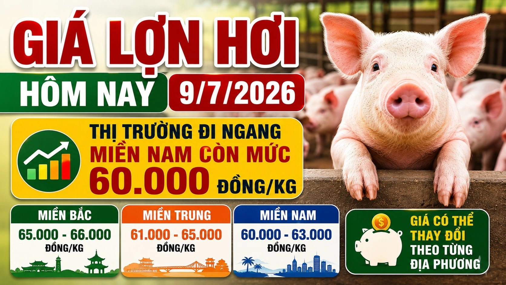 gia-heo-hoi-hom-nay-9-7-2026.jpg