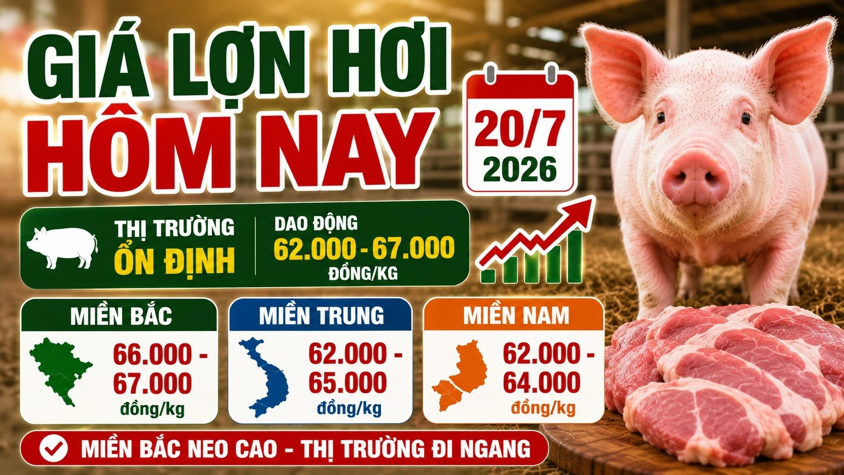 gia-heo-hoi-hom-nay-20-7-2026.jpg