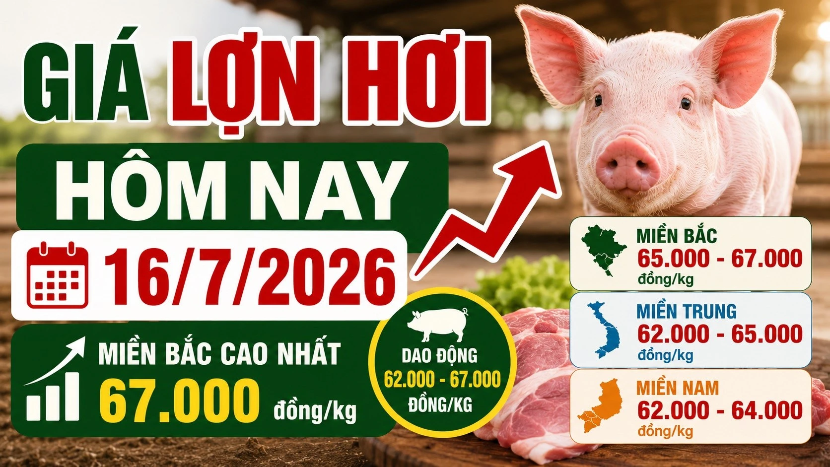 gia-heo-hoi-hom-nay-16-7-2026.jpg